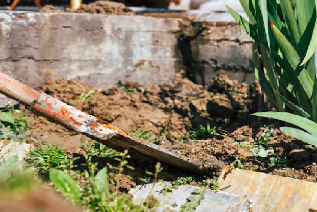 Digging Up the Devil