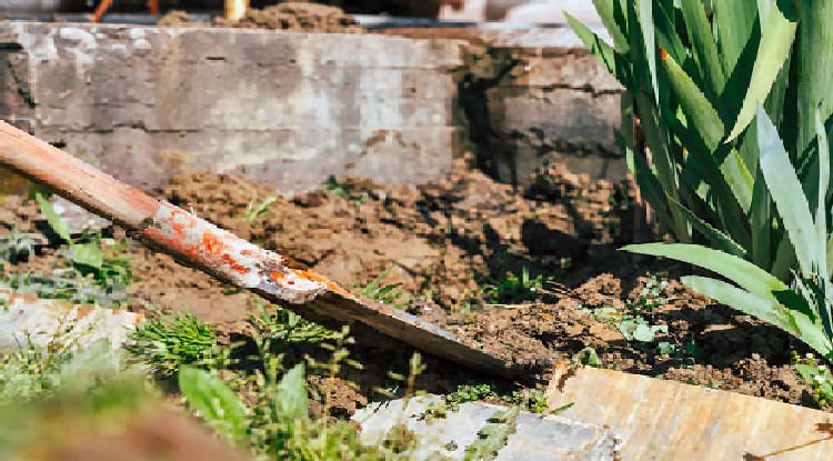 Digging Up the Devil