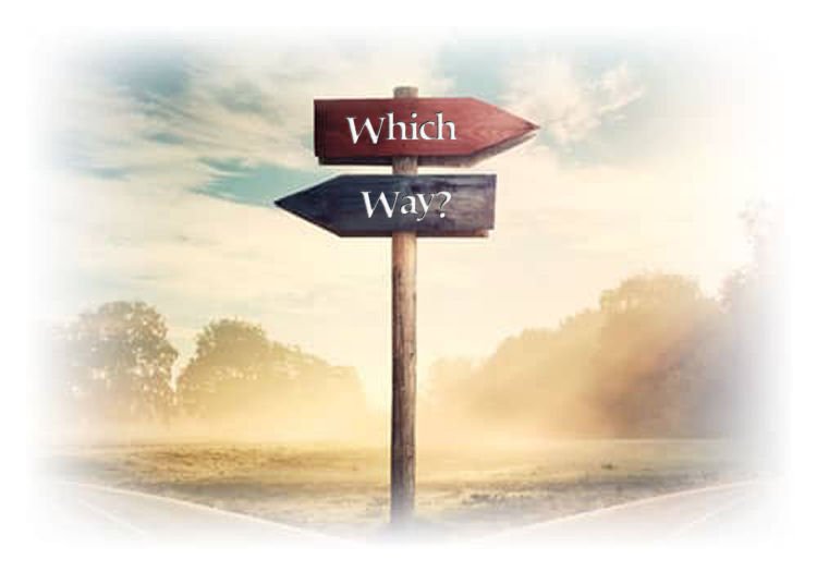 The Fork in the Road